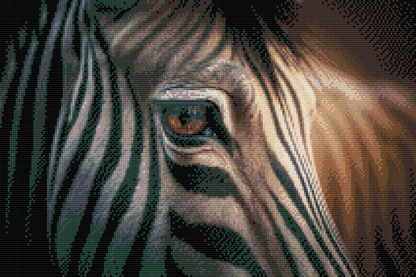 Diamond Painting - Zebra tæt på