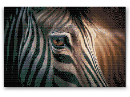 Diamond Painting - Zebra tæt på