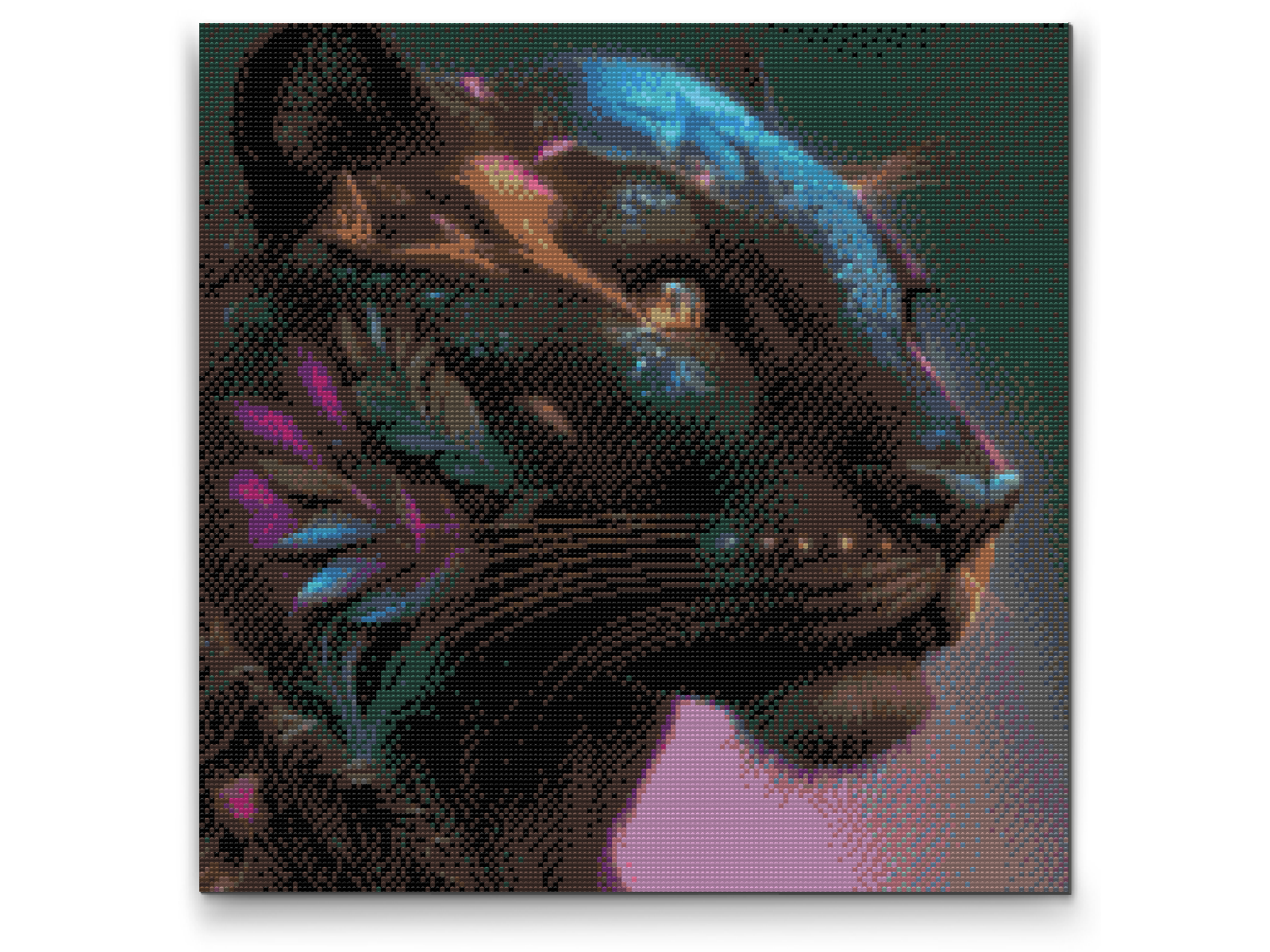 Diamond Painting - Sort puma