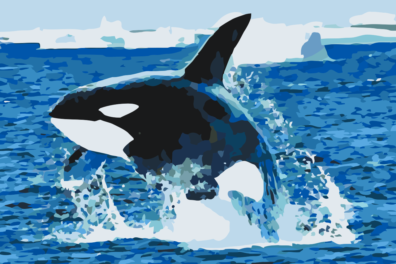 Paint by Numbers - Orca Jump