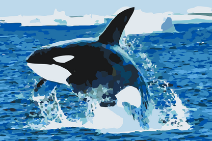 Paint by Numbers - Orca Jump