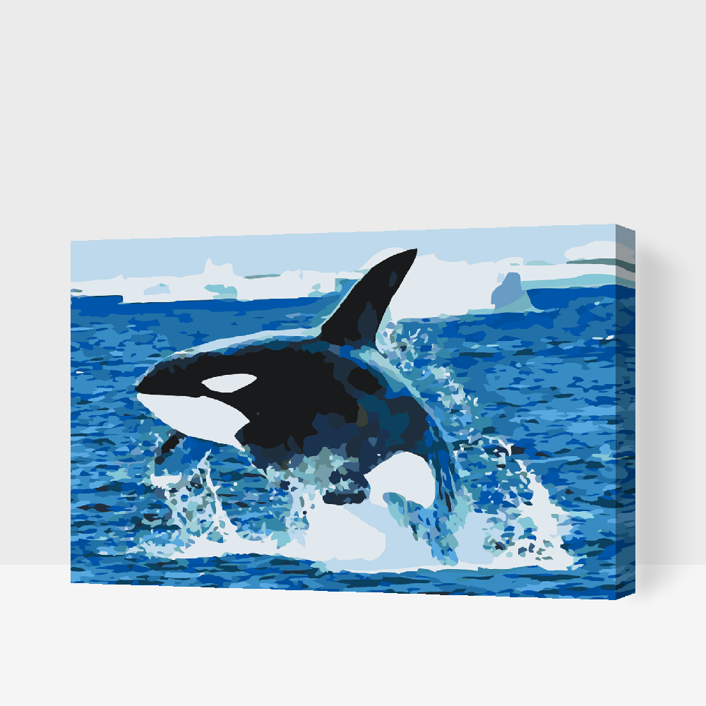 Paint by Numbers - Orca Jump