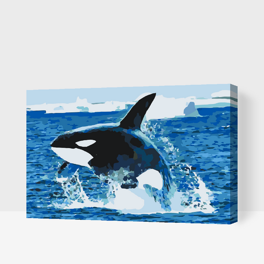 Paint by Numbers - Orca Jump