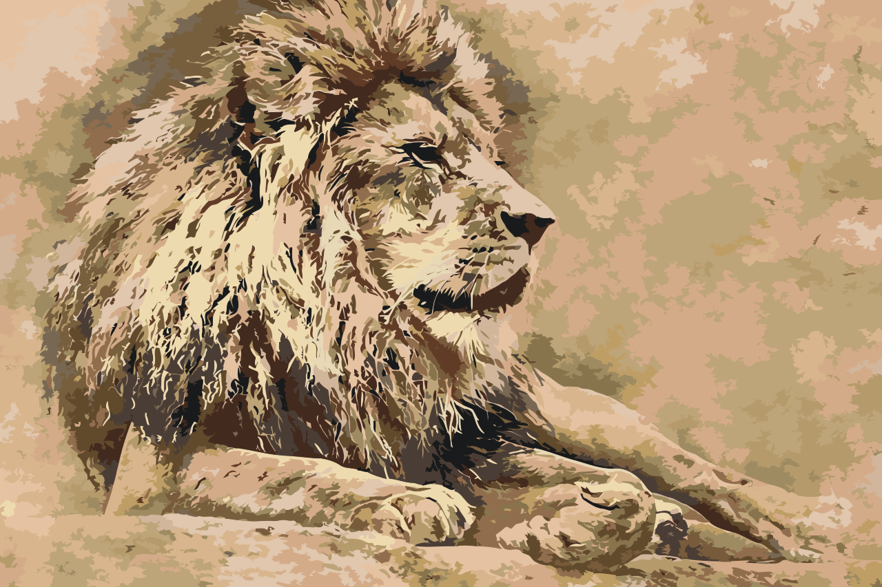 Paint by Numbers - Lion 2