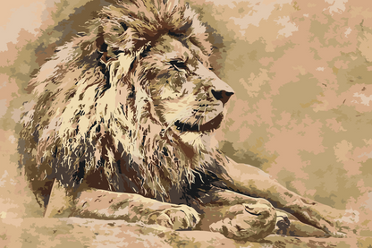 Paint by Numbers - Lion 2