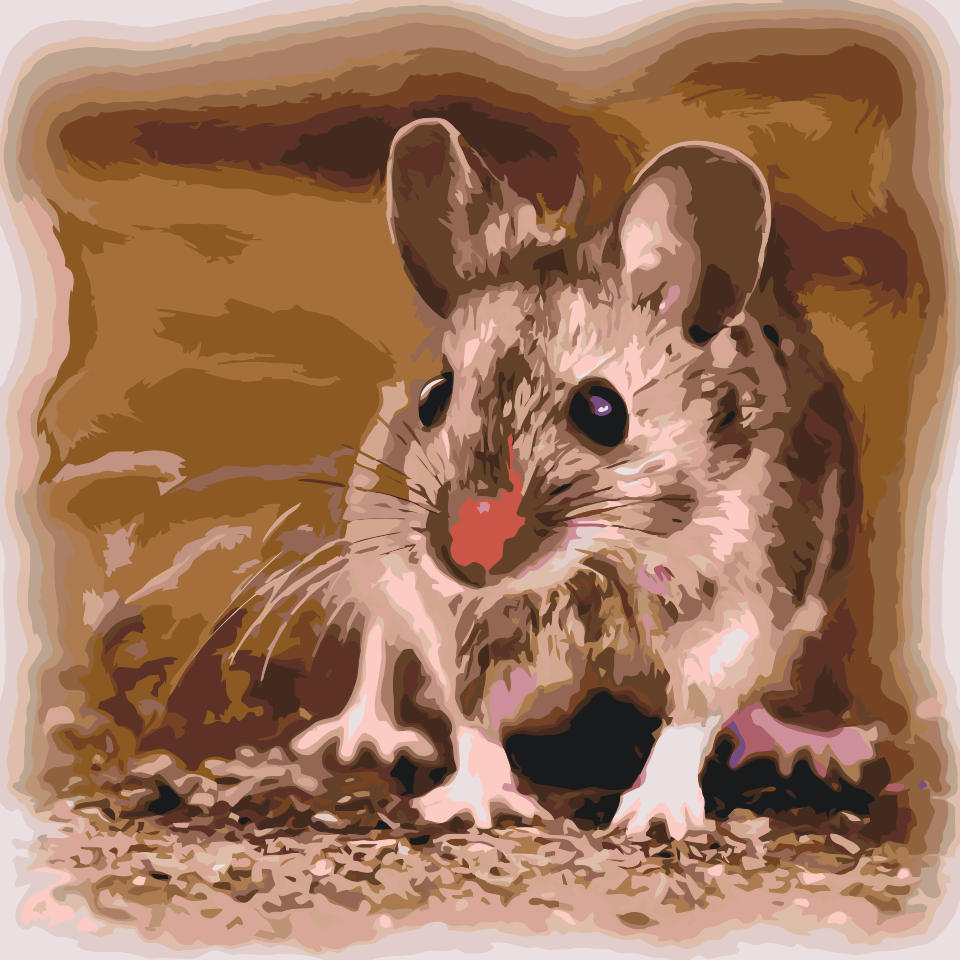 Paint by Numbers - Lille Hamster