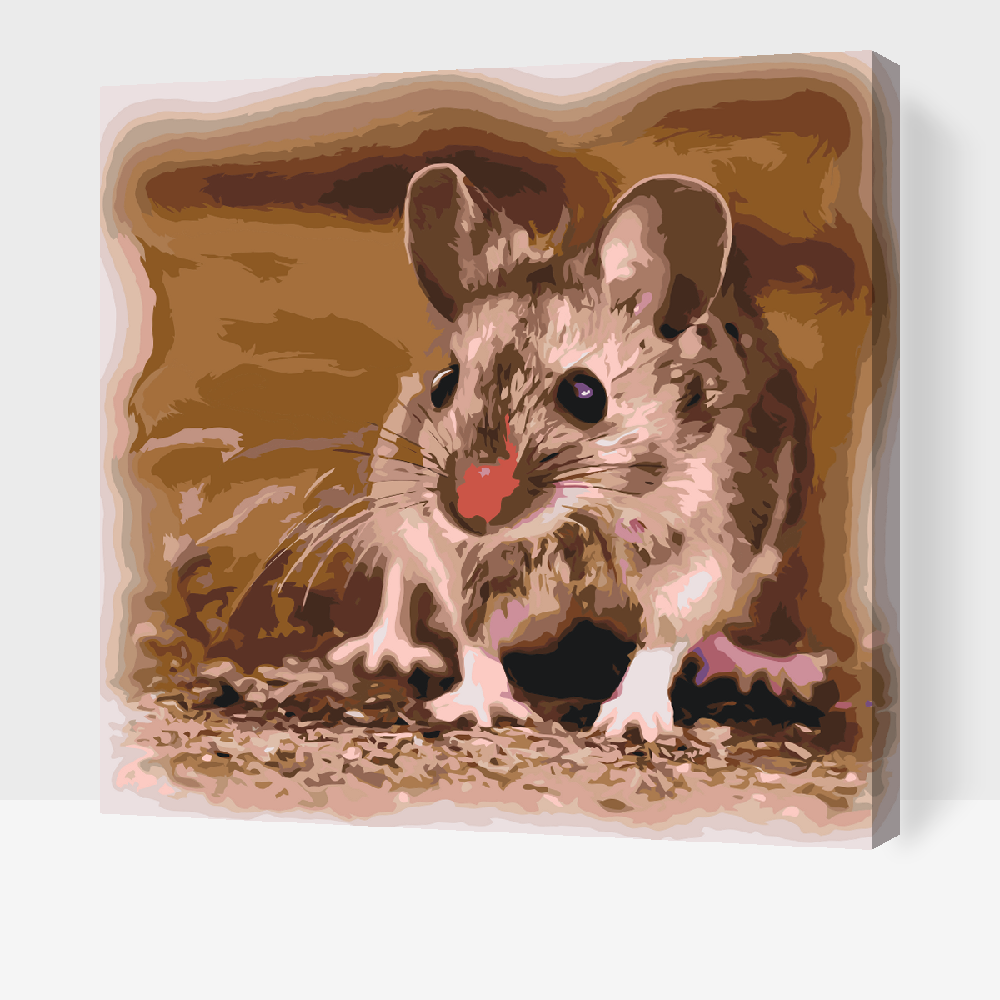 Paint by Numbers - Lille Hamster