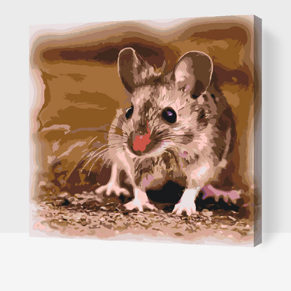 Paint by Numbers - Lille Hamster