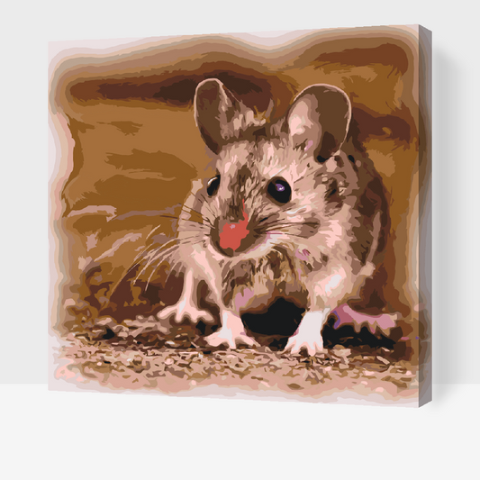 Paint by Numbers - Lille Hamster