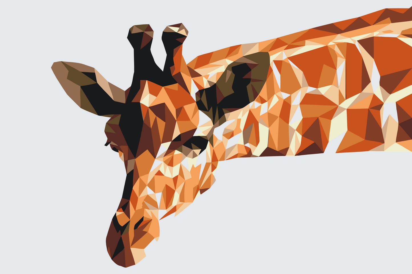 Paint by Numbers - Vektorgiraf