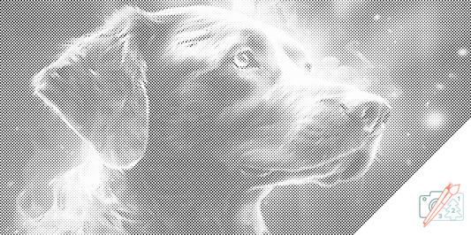 Mal-med-prikker -  Regnbuehund