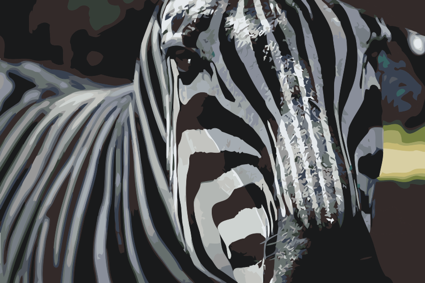 Paint by Numbers - Fokuseret på Zebraen