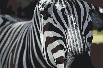 Paint by Numbers - Fokuseret på Zebraen