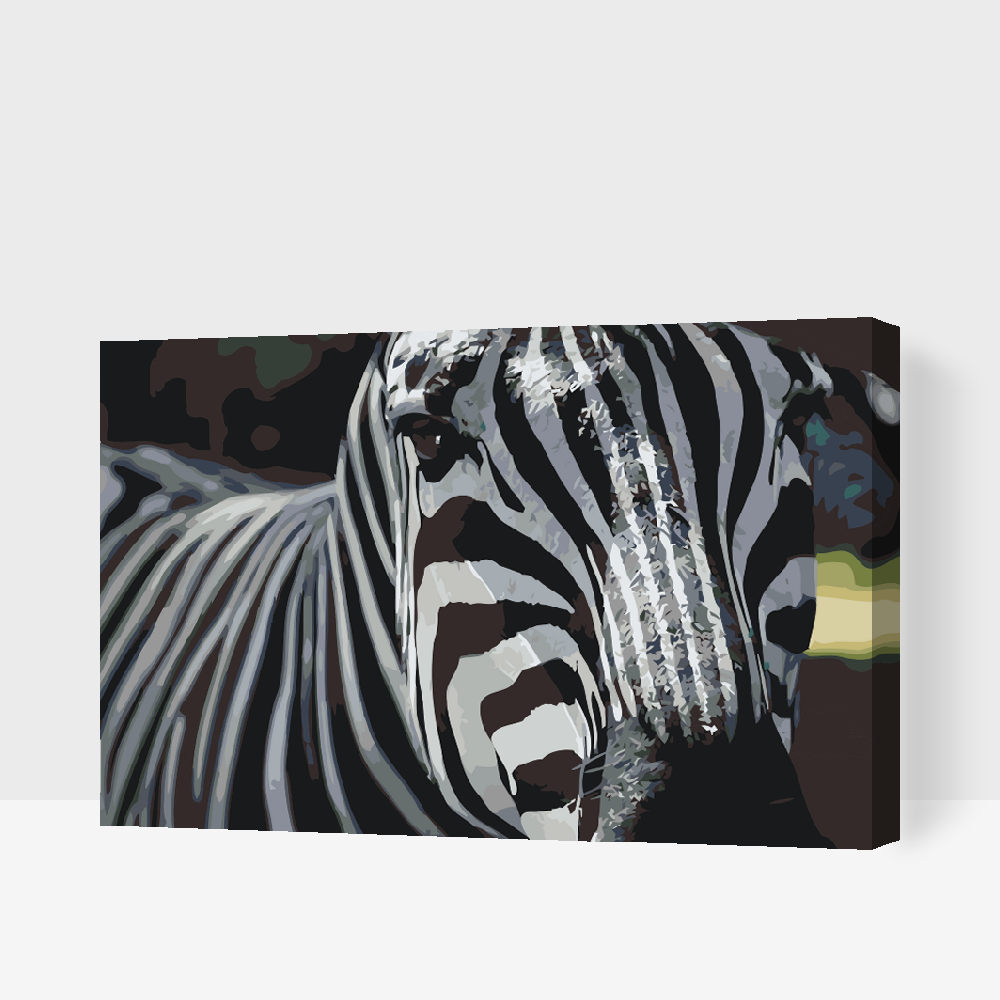 Paint by Numbers - Fokuseret på Zebraen