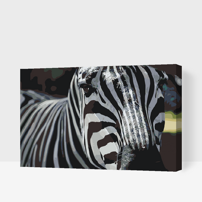 Paint by Numbers - Fokuseret på Zebraen