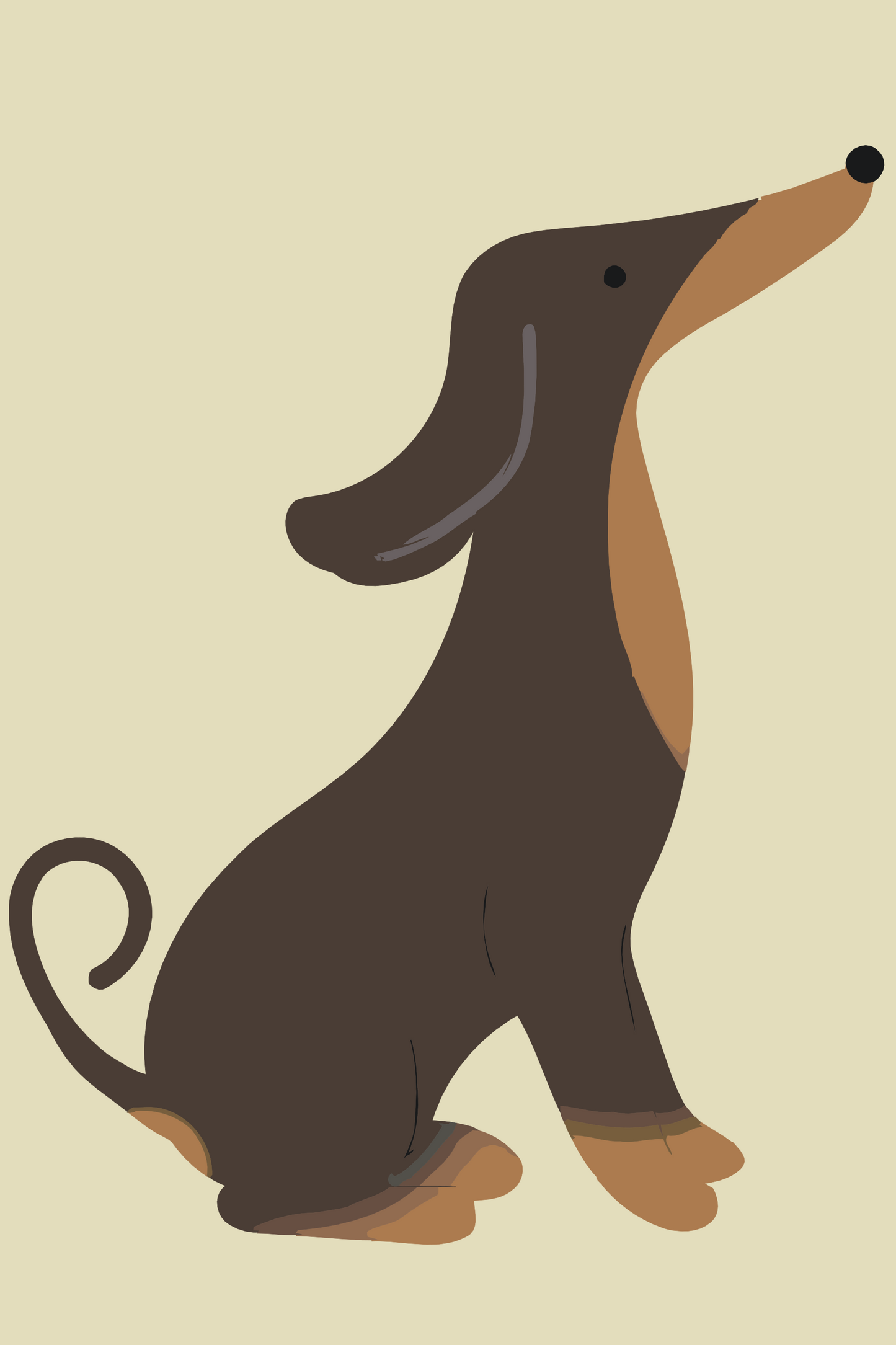 Paint by Numbers - Sød daschund