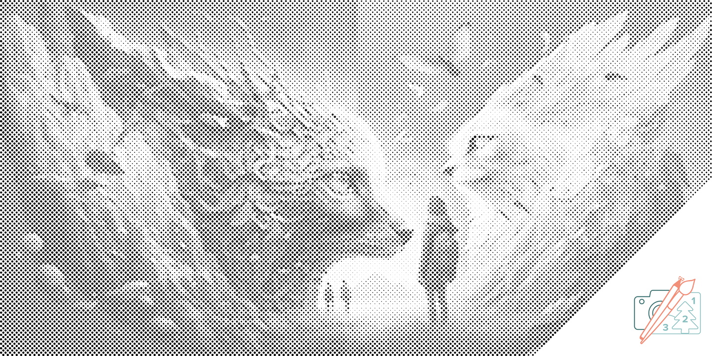 Mal-med-prikker -  Mystiske katte