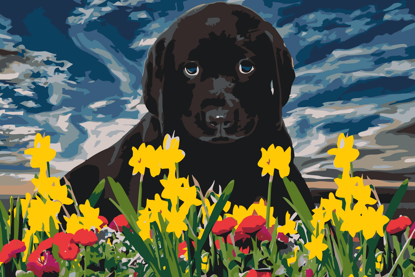 Paint by Numbers - Labrador Puppy