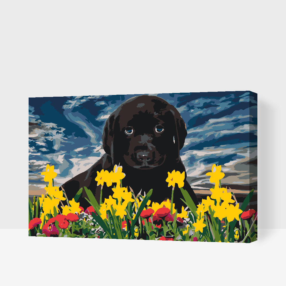 Paint by Numbers - Labrador Puppy