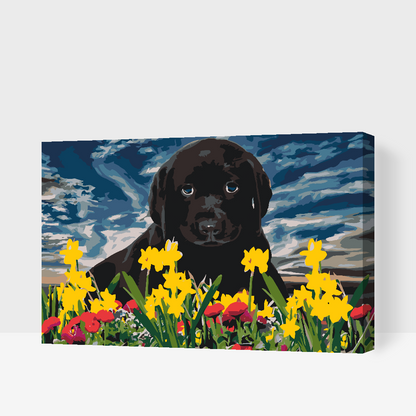 Paint by Numbers - Labrador Puppy
