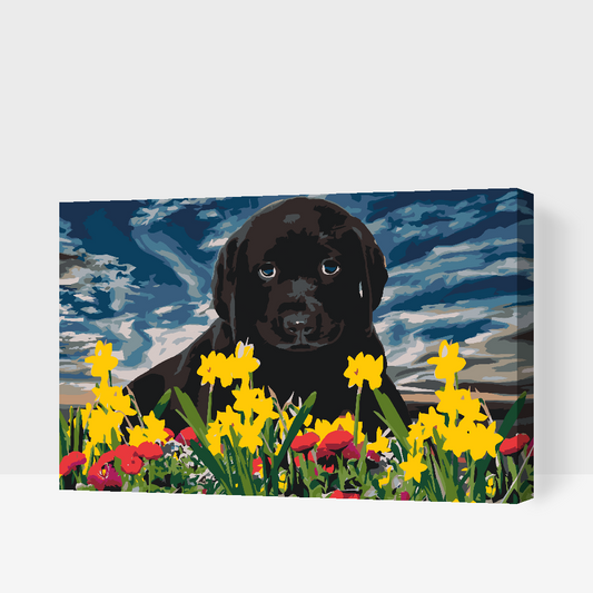 Paint by Numbers - Labrador Puppy