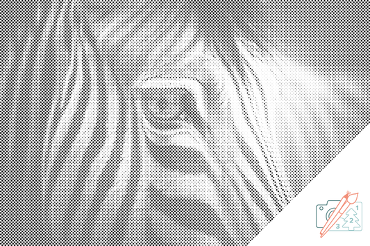 Mal-med-prikker -  Zebra tæt på