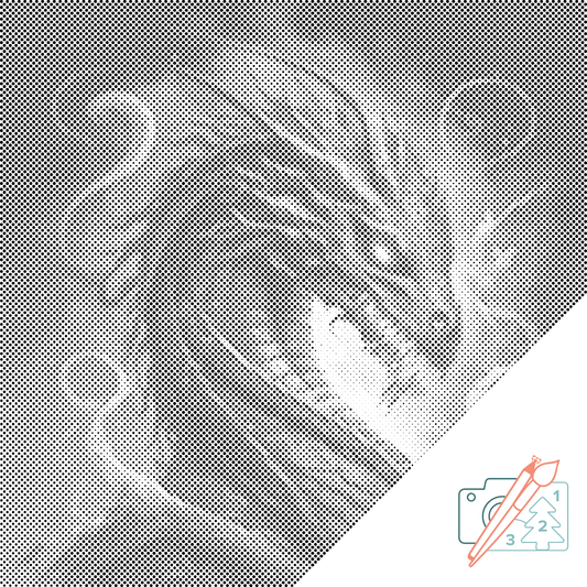 Mal-med-prikker -  Ilddrage