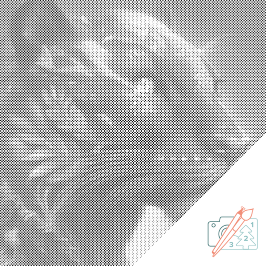 Mal-med-prikker -  Sort puma
