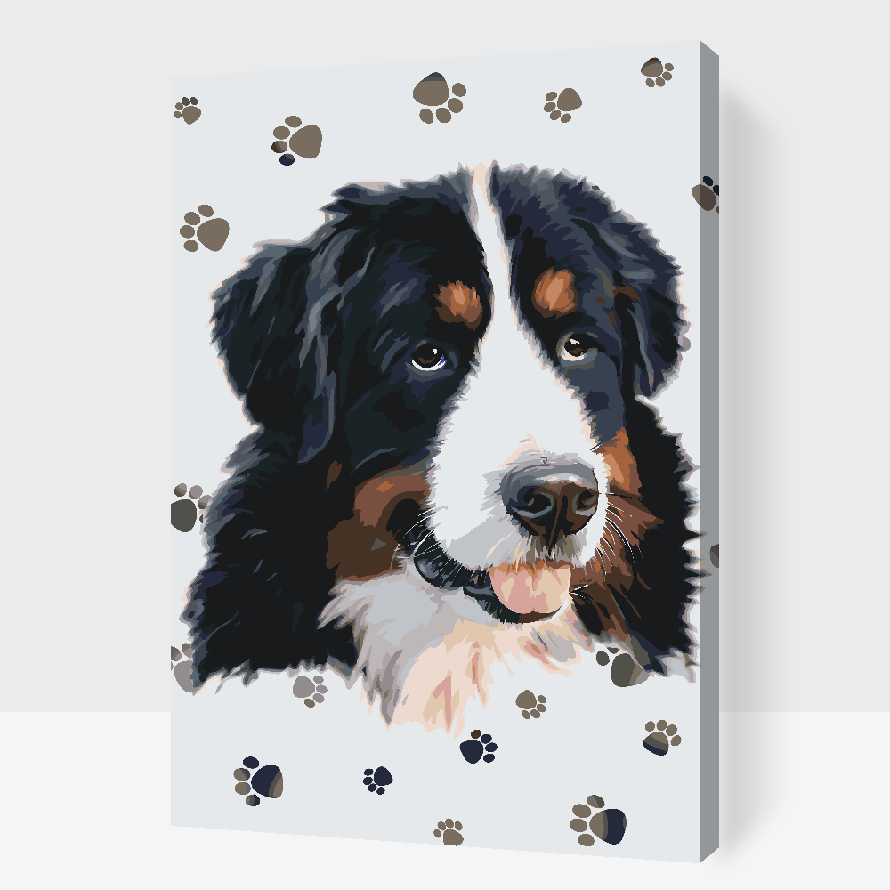 Paint by Numbers - Hund med poter