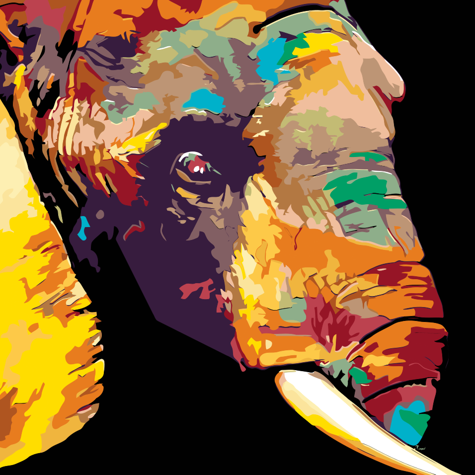 Paint by Numbers - Farvet elefant