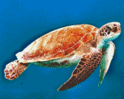 Diamond Painting - Havskildpadde