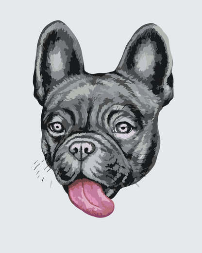 Paint by Numbers - Bulldog med tunge ude