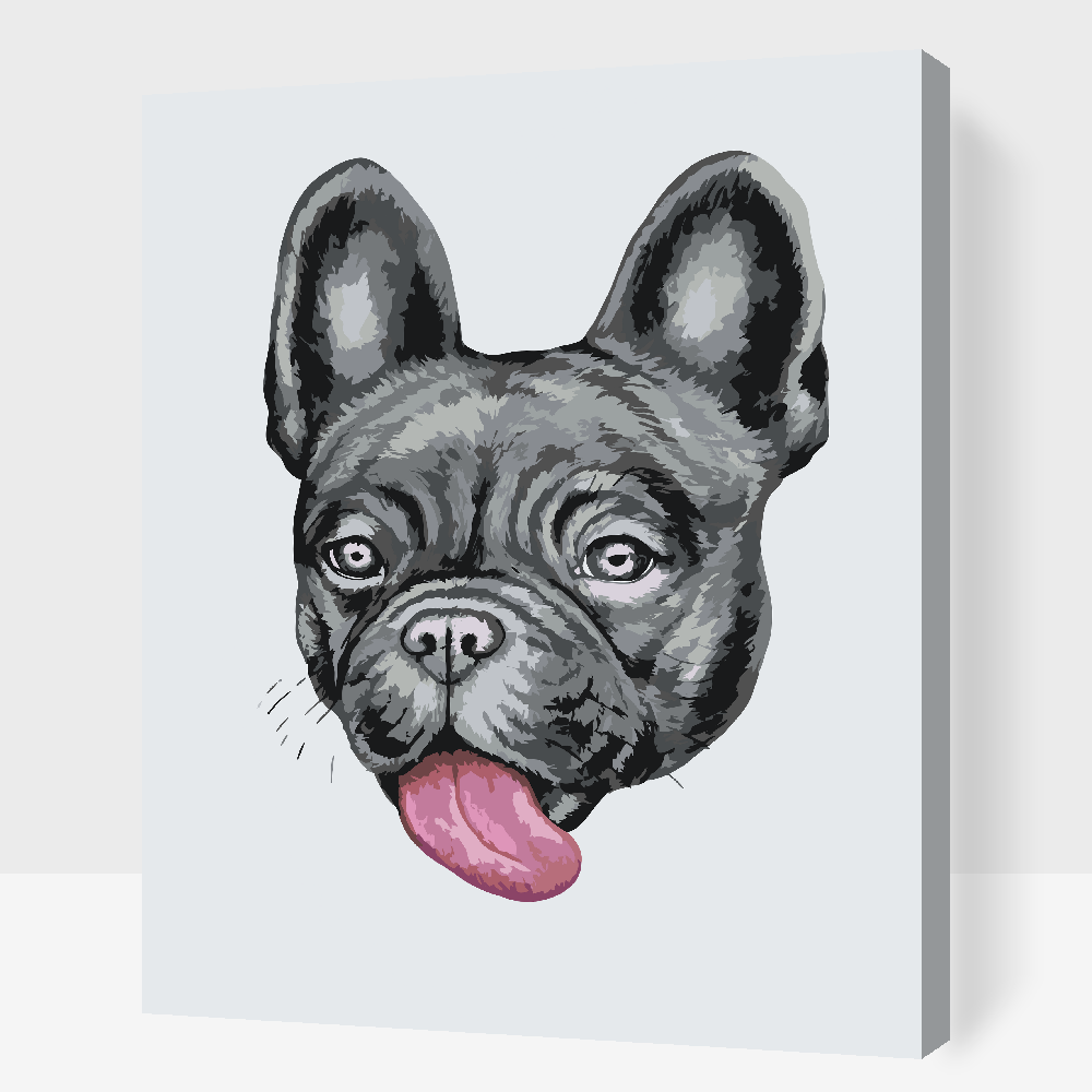 Paint by Numbers - Bulldog med tunge ude