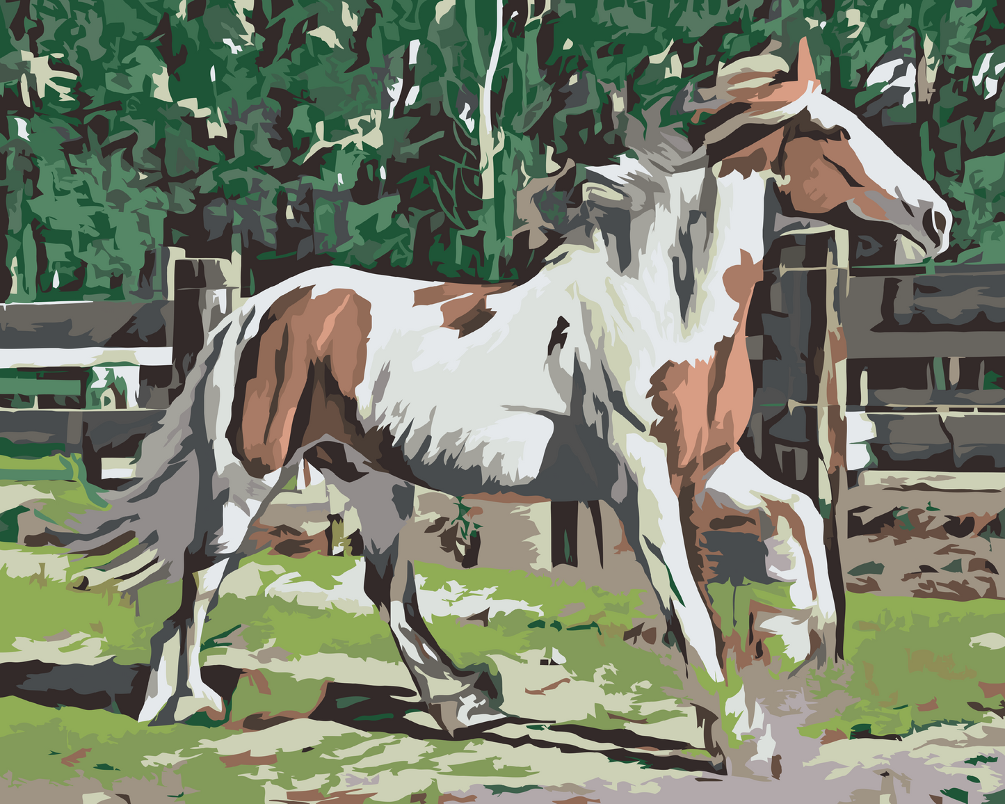 Paint by Numbers - Hest i indhegningen