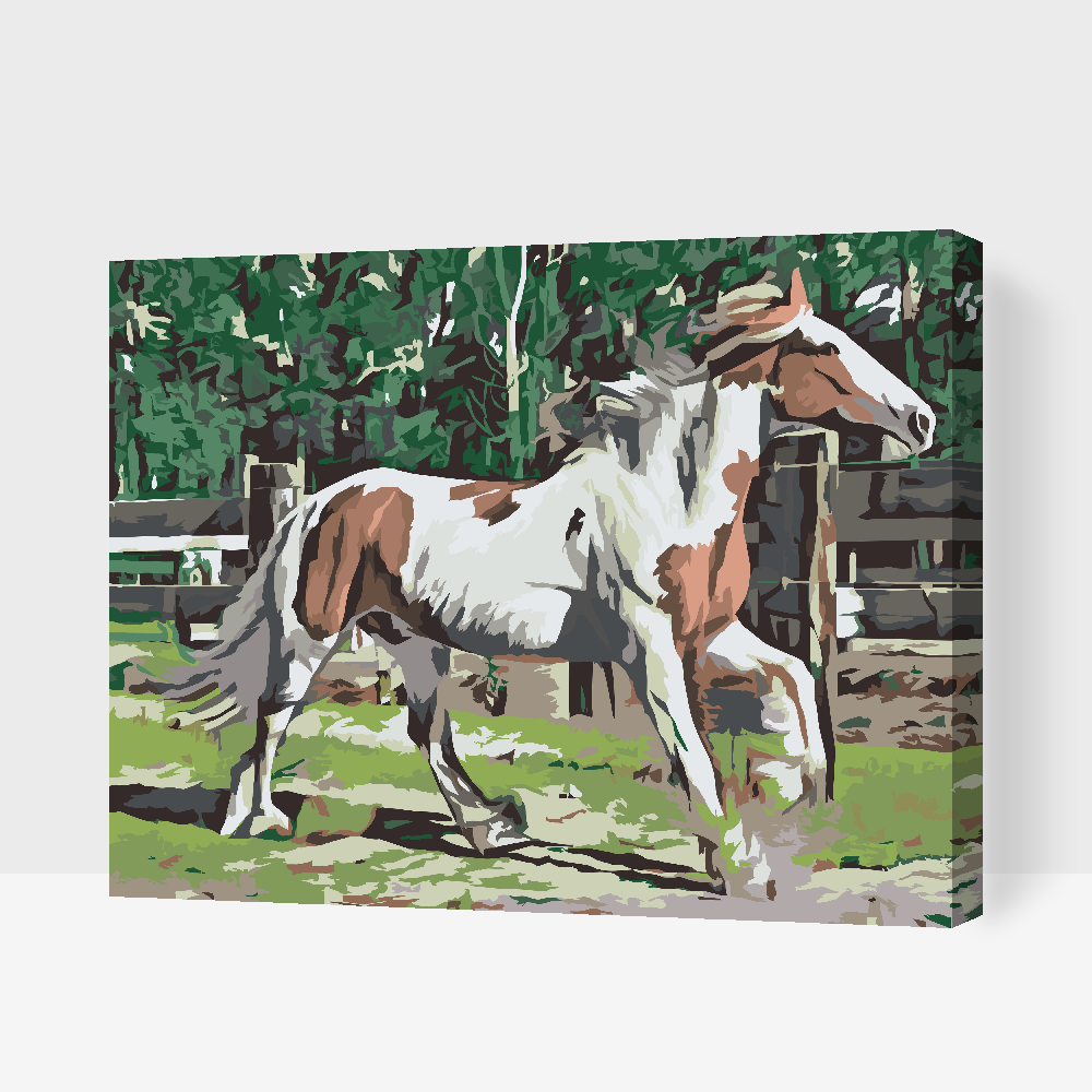 Paint by Numbers - Hest i indhegningen