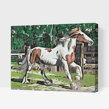 Paint by Numbers - Hest i indhegningen