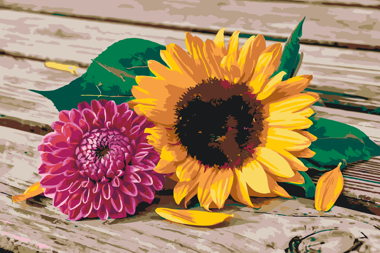 Paint by Numbers - Solsikke og lyserød dahlia