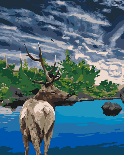 Paint by Numbers - Deer by Lake