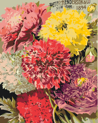 Paint by Numbers - Retro farverige blomster