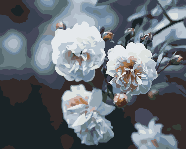 Paint by Numbers - Blomstrende hvide roser