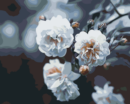 Paint by Numbers - Blomstrende hvide roser
