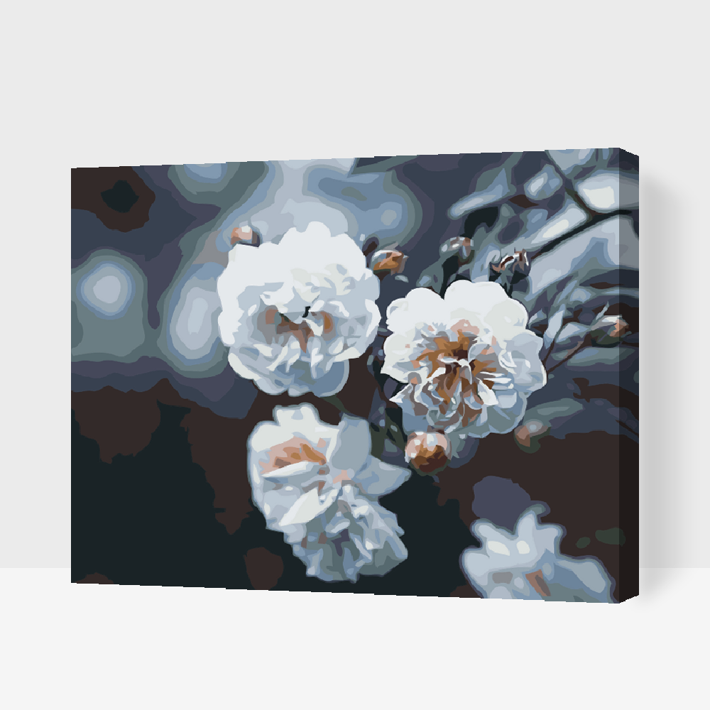 Paint by Numbers - Blomstrende hvide roser