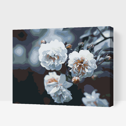 Paint by Numbers - Blomstrende hvide roser