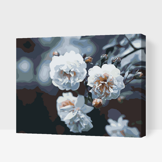 Paint by Numbers - Blomstrende hvide roser