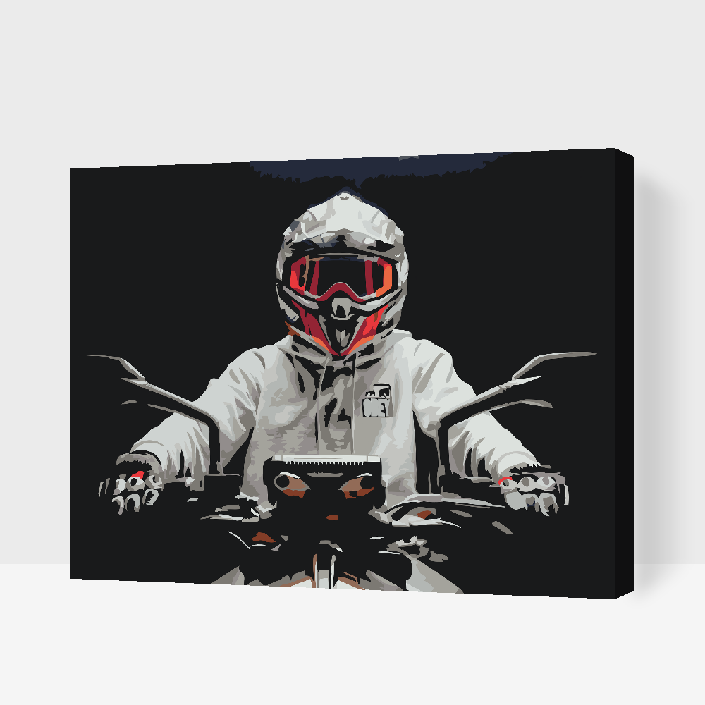Paint by Numbers - Biker