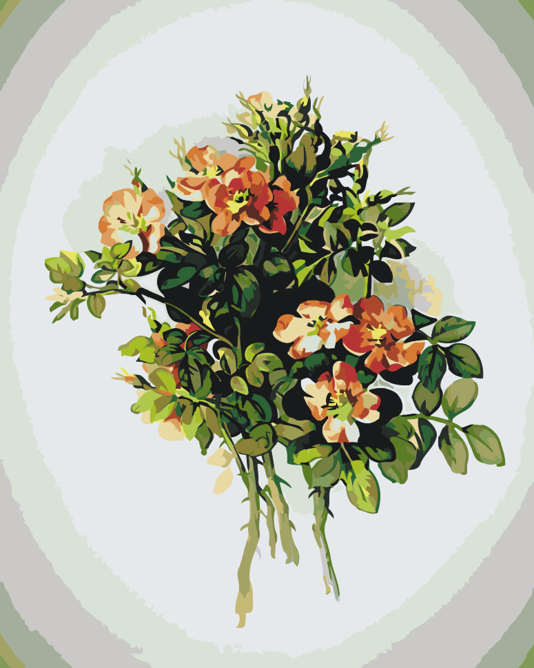 Paint by Numbers - Vintage Flowers VII