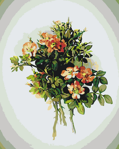 Paint by Numbers - Vintage Flowers VII
