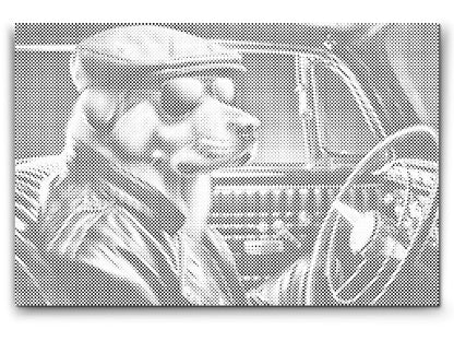 Mal-med-prikker -  En hund i en sort cabriolet
