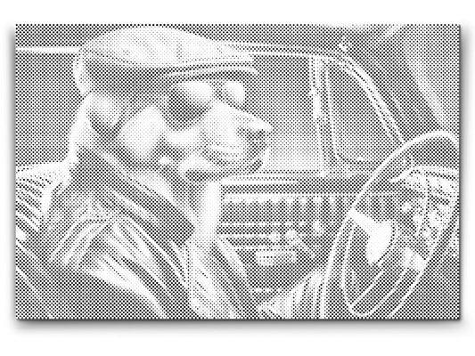 Mal-med-prikker -  En hund i en sort cabriolet