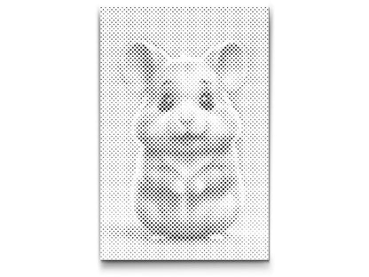 Mal-med-prikker -  Hamster til børn